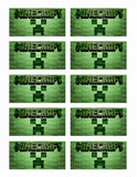 Minecraft Creeper Edible Icing Sheet Cake Decor Topper