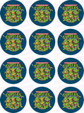 Teenage Mutant Ninja Turtles TMNT Inspired Edible Icing Cupcake Decor Toppers - TMNT2