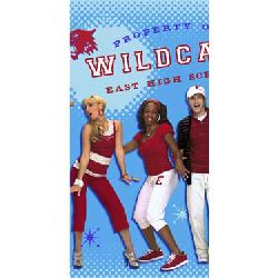 High School Musical Friends 4 Ever Tablecover