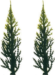 Evergreen (Variegated) Tree Cake Toppers