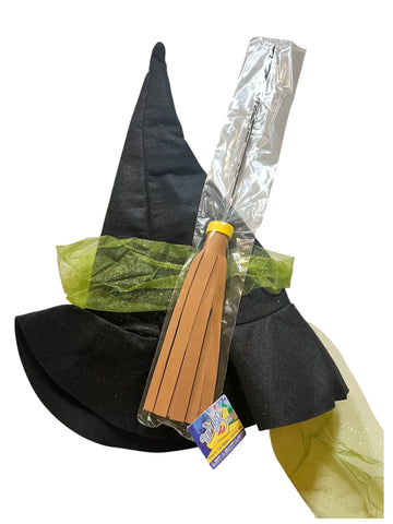 Wizard of Oz Wicked Witch Accessory Set