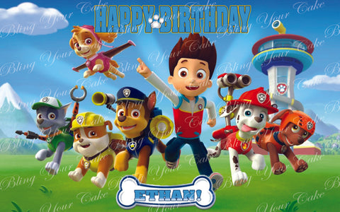 Paw Patrol Edible Icing Sheet Cake Decor Topper PP3
