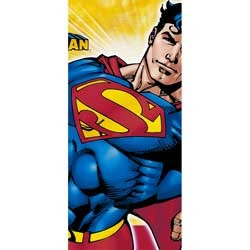 Superman Returns Tablecover