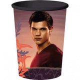 Twilight Breaking Dawn Jacob and Edward Keepsake Cup