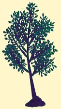 Branch Tree Cake Toppers - Set of 2