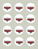 Disney Cars Logo Edible Icing Sheet Cake Decor Topper - DC1