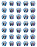 Disney Frozen Edible Icing Sheet Cake Decor Topper - DF20