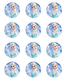 Disney Frozen Princess Elsa Edible Icing Sheet Cake Decor Topper - DFE1