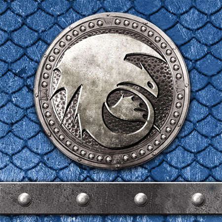 How to Train Your Dragon 2 Movie Birthday Party Beverage Napkins