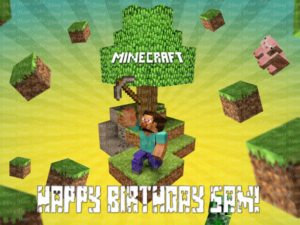 Minecraft Steve Edible Icing Sheet Cake Decor Topper