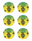 Minecraft Steve Edible Icing Sheet Cake Decor Topper