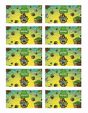 Minecraft Steve Edible Icing Sheet Cake Decor Topper