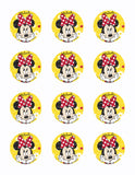 Disney Minnie Mouse Edible Icing Sheet Cake Decor Topper - MMF10