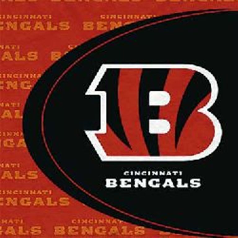 NFL Cincinnati Bengals Lunch Napkins Party Supplies