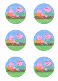 Peppa Pig & Family Edible Icing Sheet Cake Decor Topper - PP3