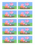 Peppa Pig & Family Edible Icing Sheet Cake Decor Topper - PP3