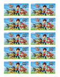 Paw Patrol Edible Icing Sheet Cake Decor Topper - PP3