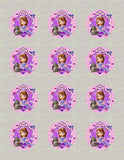 Sofia the First Portrait Edible Icing Cake Decor Toppers - STF1