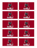 University of Alabama Big Al through the A Edible Icing Sheet Cake Decor Topper - UA5