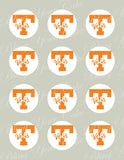 University of Tennessee Edible Icing Sheet Cake Decor Topper - UT1