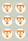 University of Tennessee Edible Icing Sheet Cake Decor Topper - UT1