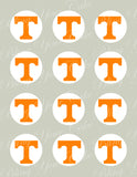 University of Tennessee Edible Icing Sheet Cake Decor Topper - UT2