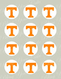 University of Tennessee Edible Icing Sheet Cake Decor Topper - UT2