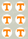 University of Tennessee Edible Icing Sheet Cake Decor Topper - UT2