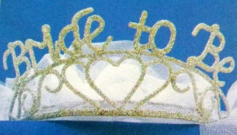 Bride-to-Be Veil & Sparkle Tiara