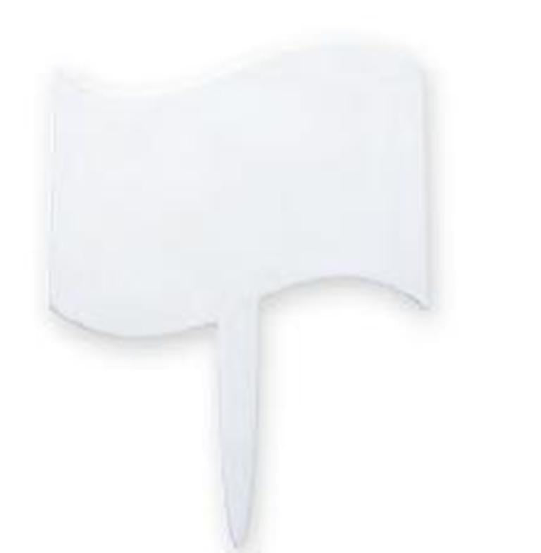 12 Blank Sign Cupcake Picks