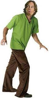 Scooby Doo Shaggy Rogers Adult Costume