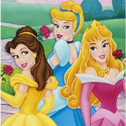 Disney Princess Fairy Tale Princess Luncheon Napkins