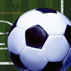 Heads Up! Soccer Luncheon Napkins