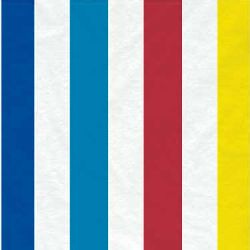 Sunny Day Birthday Party Birthday Napkins
