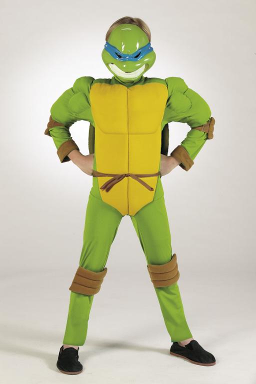 TMNT Teenage Mutant NInja Turtles Leonardo Child Costume