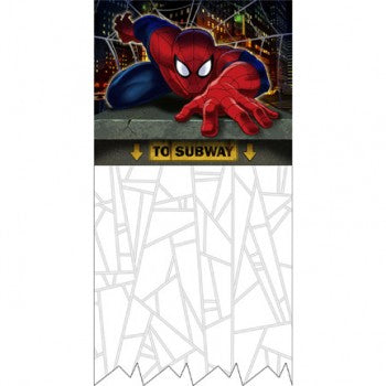 Spider Hero Spiderman Dream Party Door Curtain