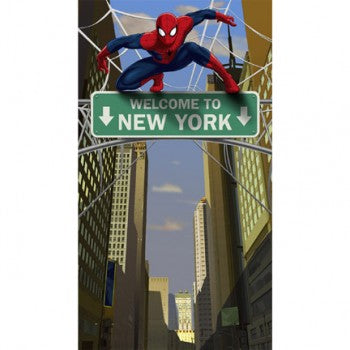 Spider Hero Spiderman Dream Party Door Banner